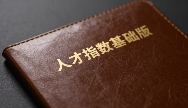 人才指数查询服务的应用场景分析:政策资讯服务如何提升效率